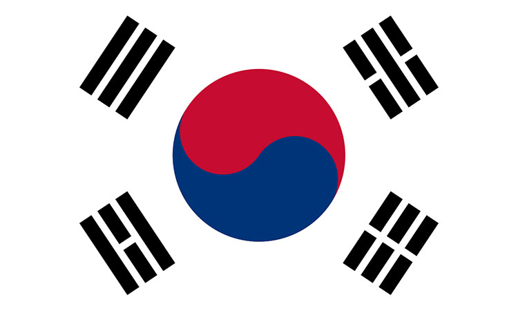 Korean Flag Taekwondo