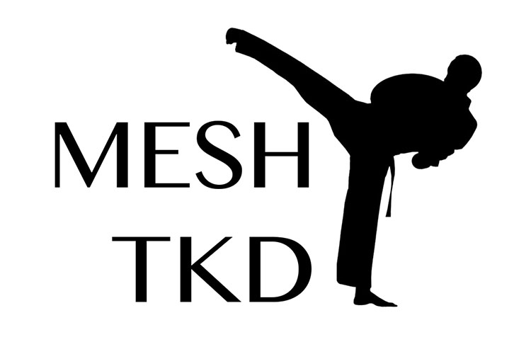 MESH Taekwondo Logo